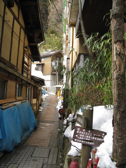 IMG_1448-Nagano-Shibu-streets-plants