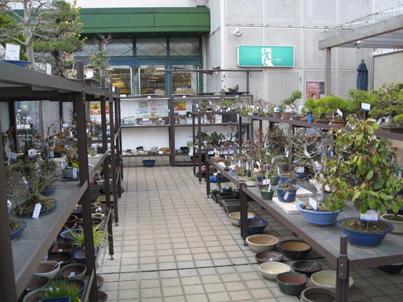 IMG_1844-Tokyo-Mitsukoshi-shops-plants