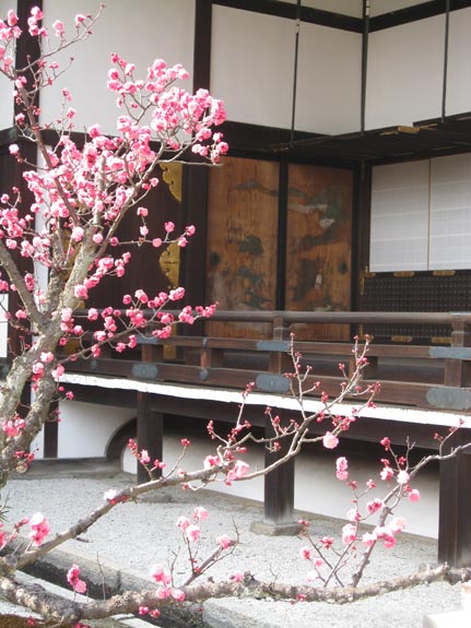 IMG_2871-Kyoto-Gosho-garden
