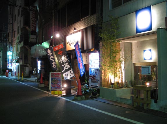 IMG_3005-Tokyo-streets-night-plants