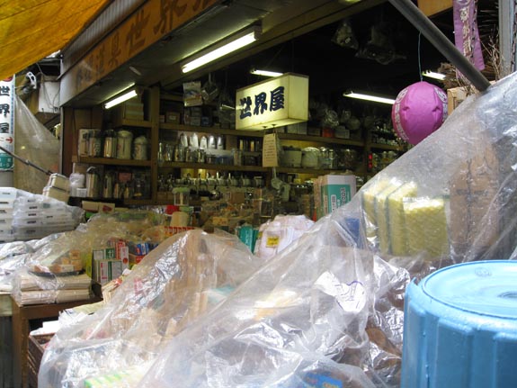 IMG_3137-Tokyo-Tsukiji-shops