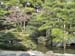 IMG_2850-Kyoto-Gosho-garden